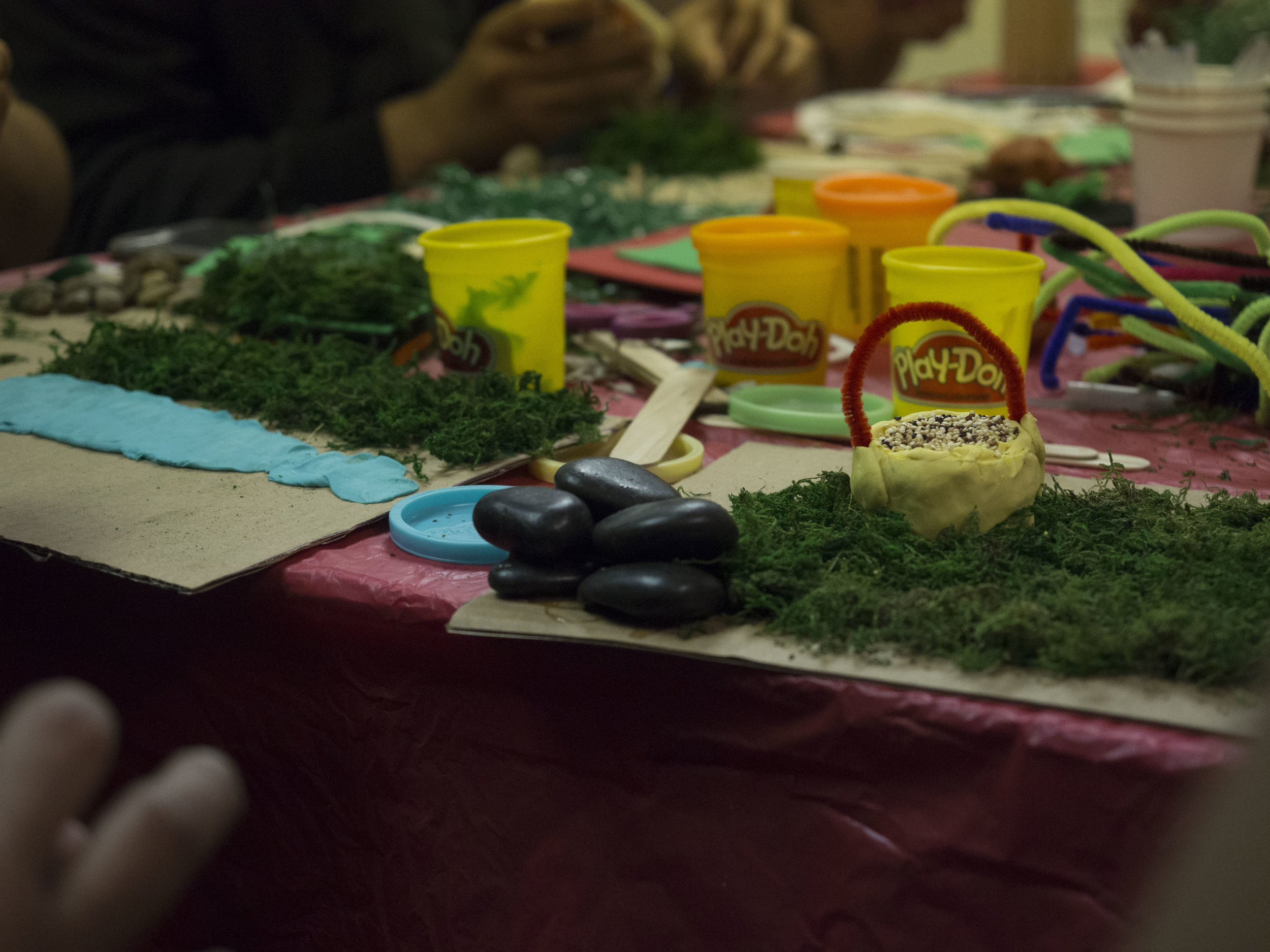 03-17-2018 Planting Seeds_9956.jpg