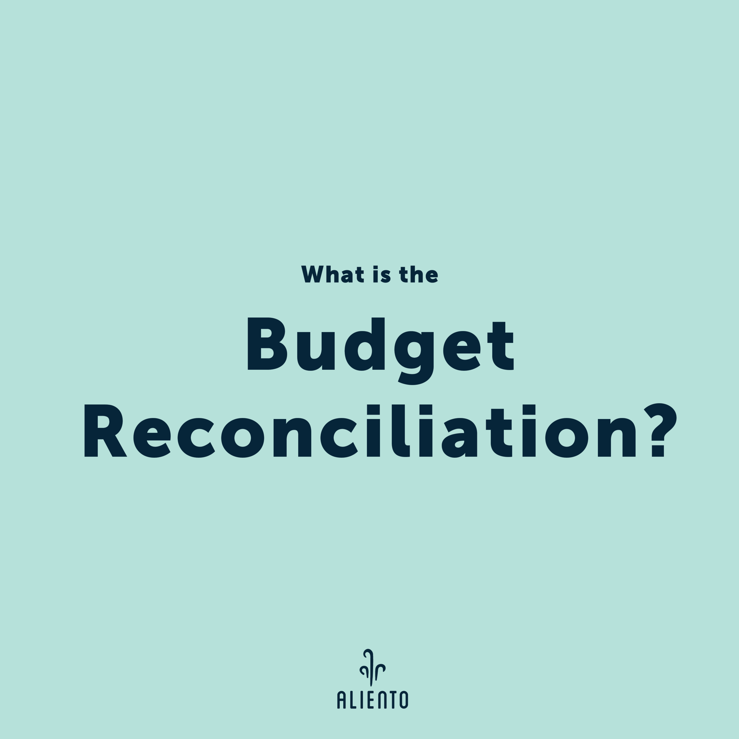 Budget Reconiliation-01.png