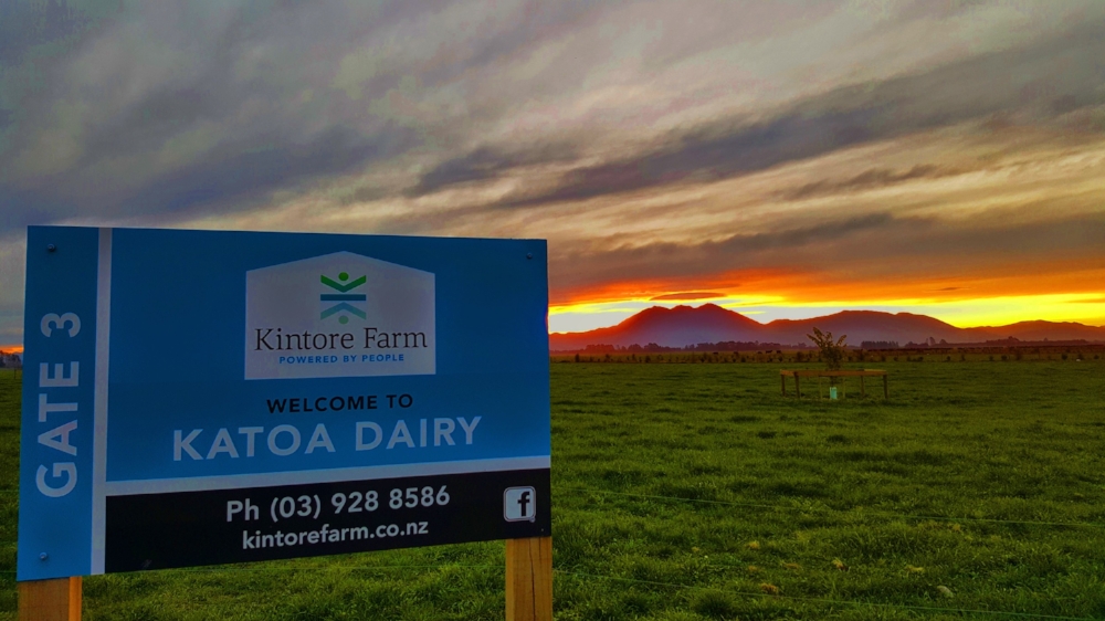 Katoa Dairy
