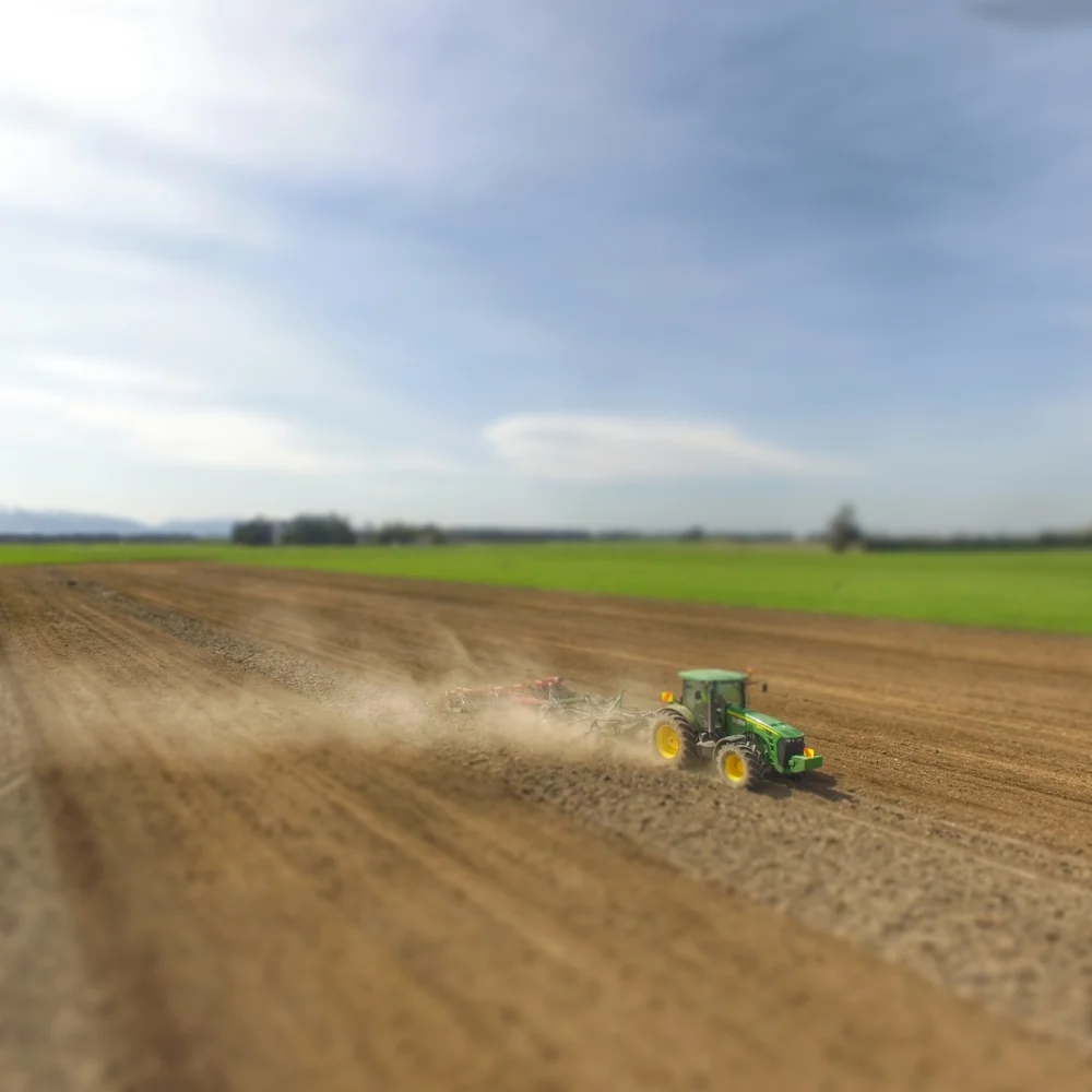 Kintore Farm - Katoa Dairy