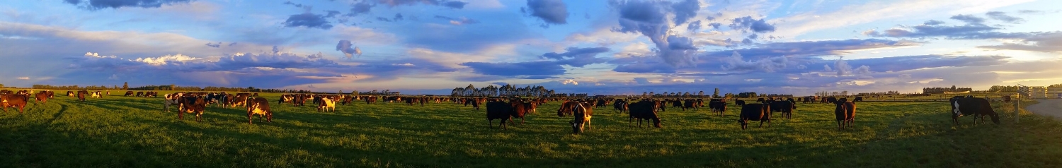 Kintore Farm