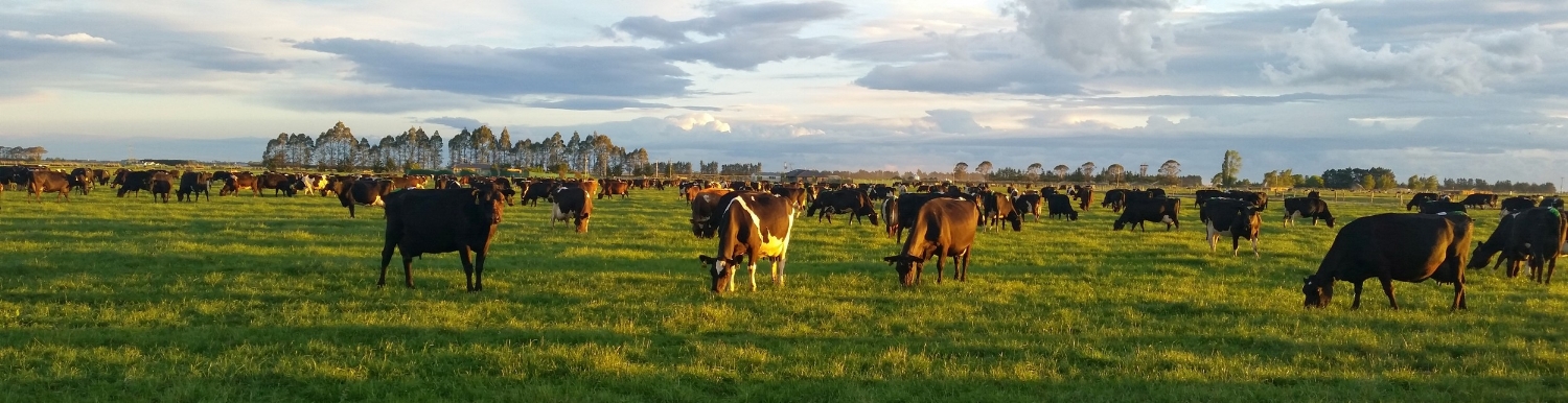 Kintore Farm