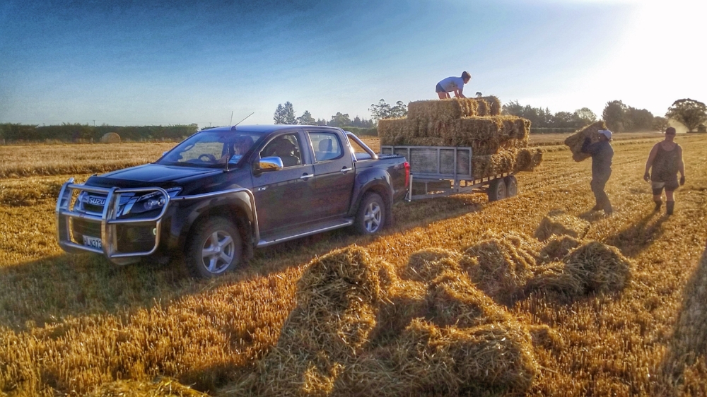 Kintore Farm - People