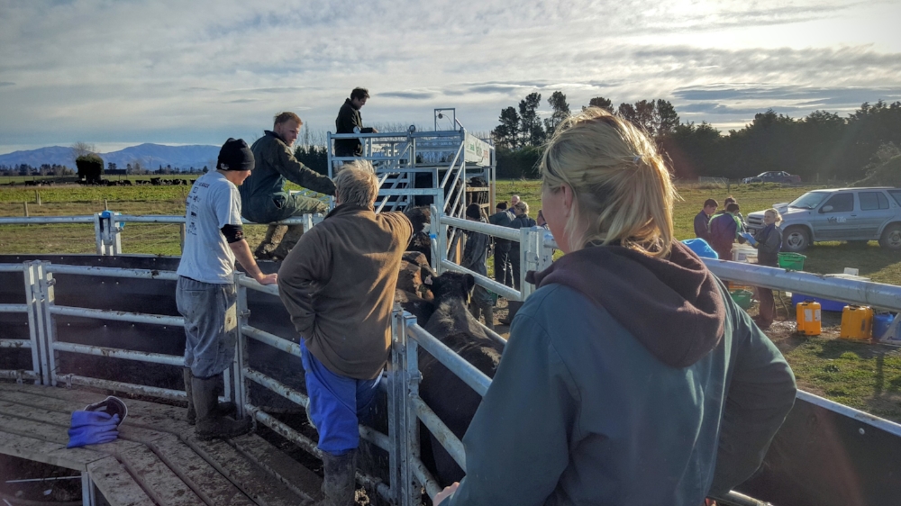 Kintore Farm - People