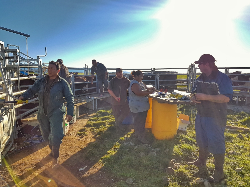 Kintore Farm - People