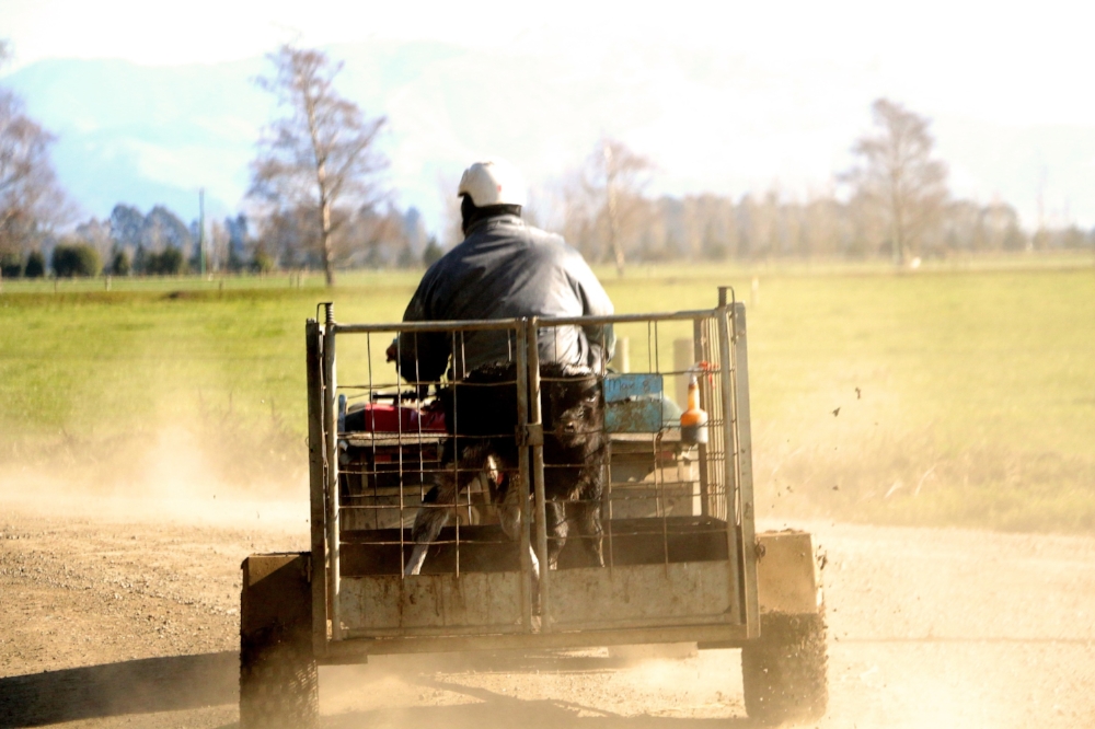 Kintore Farm - People