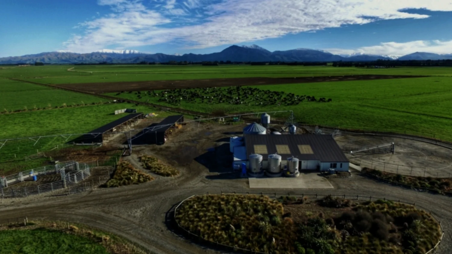 Our Farms image (7).jpg