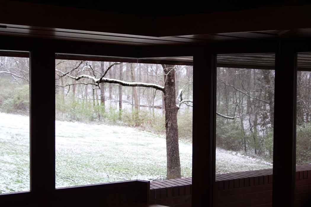   A view of the acres of woods from the study window&nbsp;  