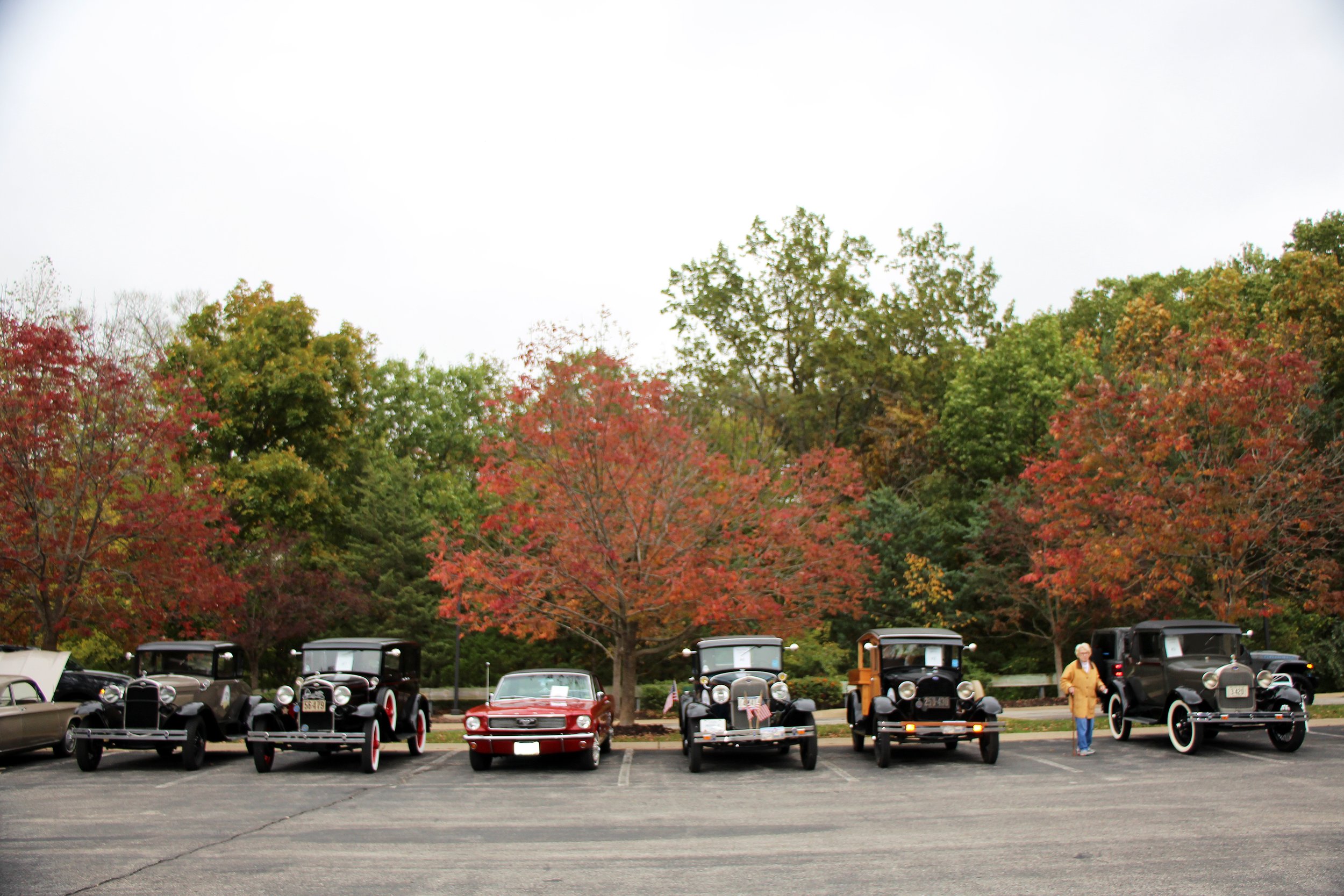    All 5 Model A's that were displayed (as seen from the front)   
