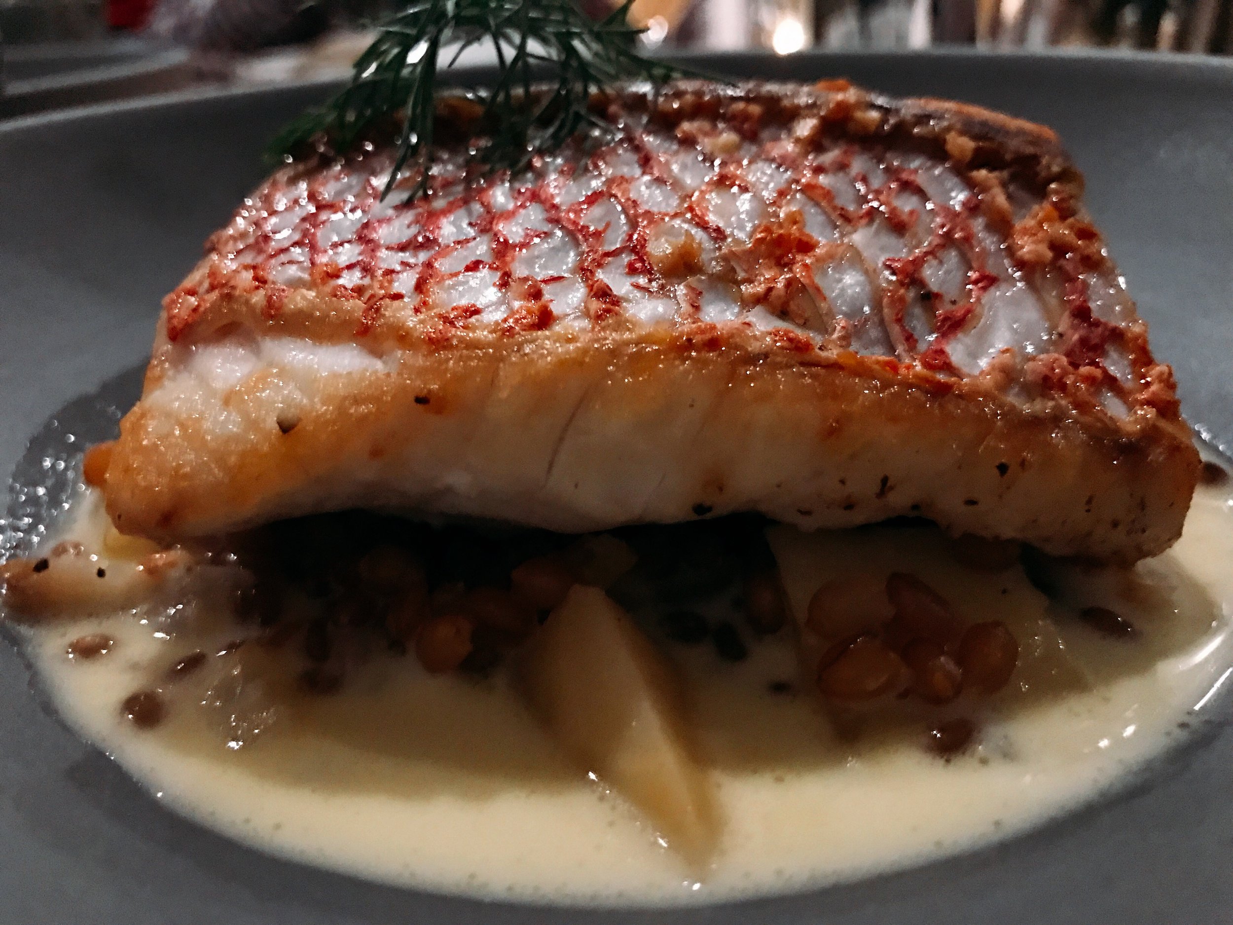 Red Snapper: Wheat Berries, Fennel, Root Vegetables