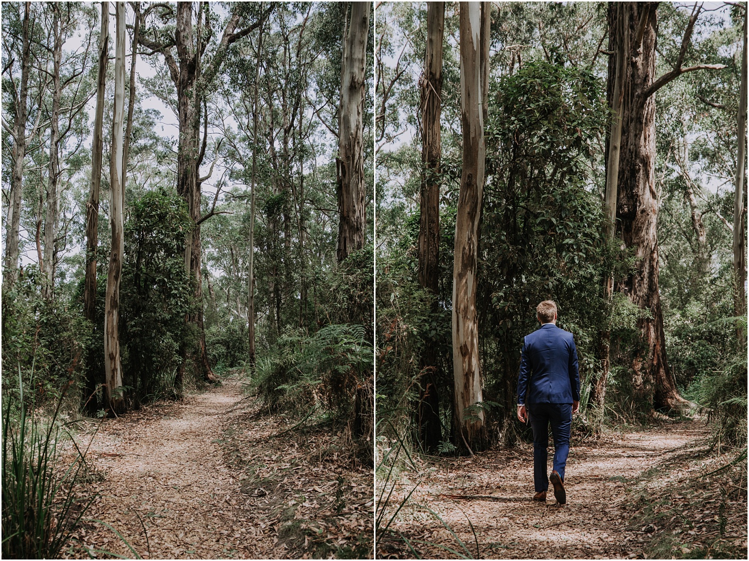 Ainslee and Warwick's elopement at Erskin Falls and the Lorne Beach Pavilion on the Great Ocean Road._0024.jpg