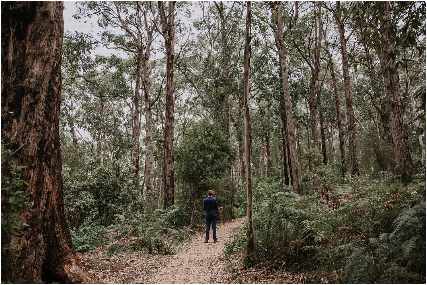 Ainslee and Warwick's elopement at Erskin Falls and the Lorne Beach Pavilion on the Great Ocean Road._0028.jpg