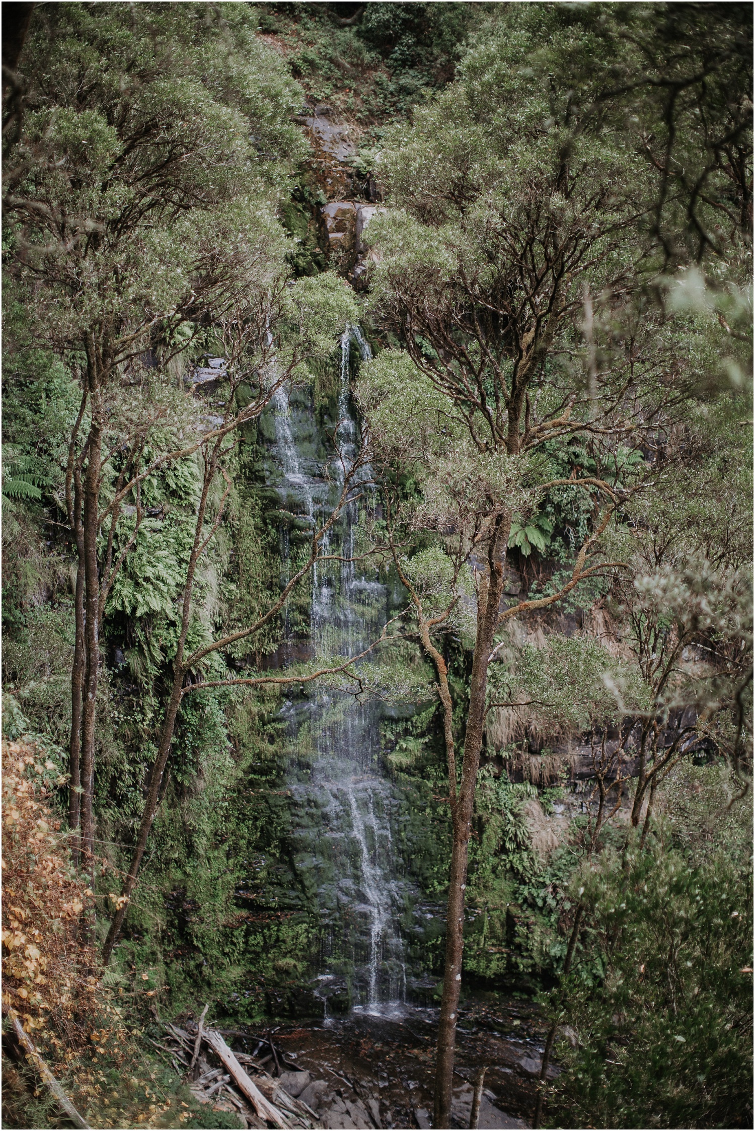 Ainslee and Warwick's elopement at Erskin Falls and the Lorne Beach Pavilion on the Great Ocean Road._0039.jpg