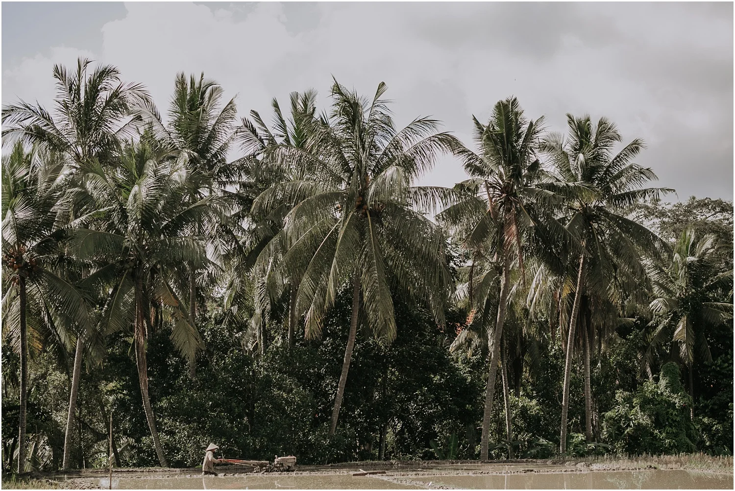 A nna and Sean's boho jungle elopment to Ubud in Bali._0005.jpg