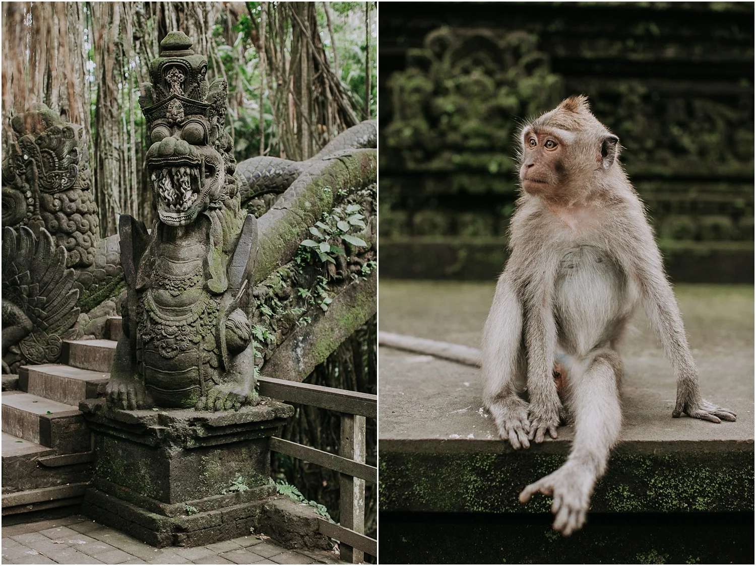 A nna and Sean's boho jungle elopment to Ubud in Bali._0006.jpg