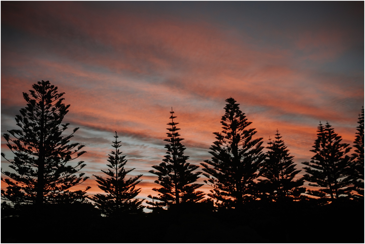 Kali and Simon's beach wedding at The Baths Sorrento on the Mornington Peninsula._0117.jpg