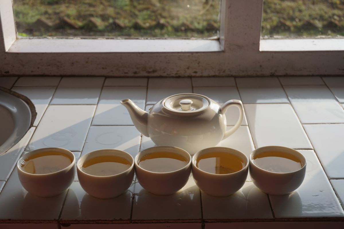 Nepal_tea_picker.jpg