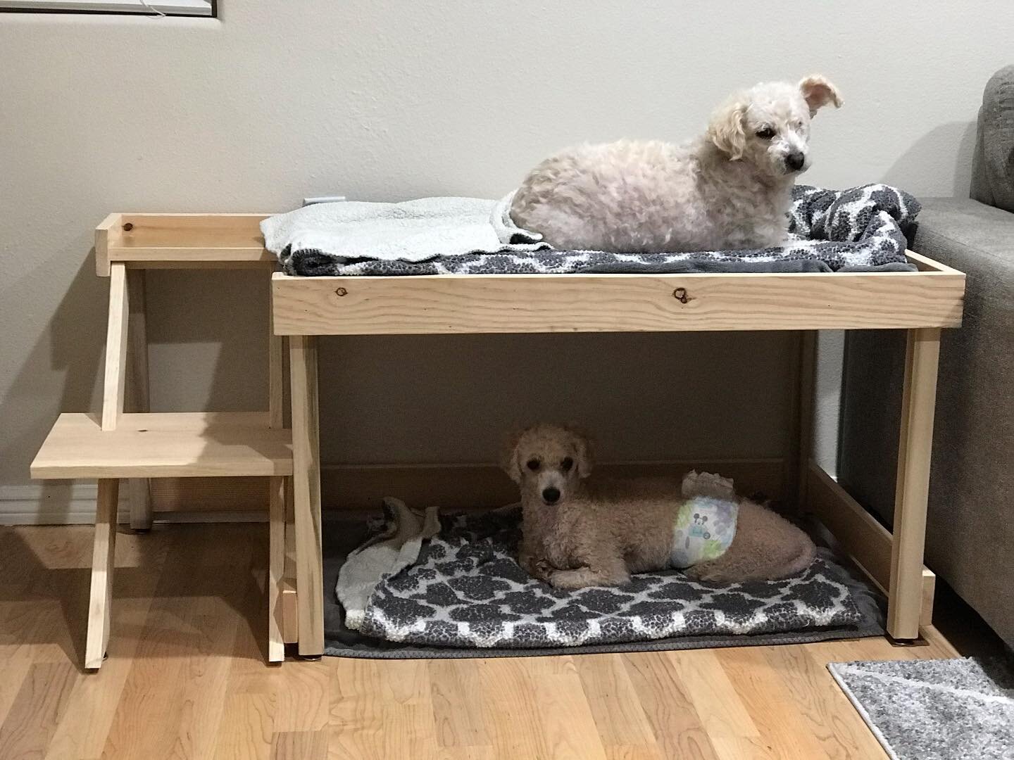 Made a bunk for the dogs!! #bunkbed #dogbed #dogbunkbed #ledesignhb