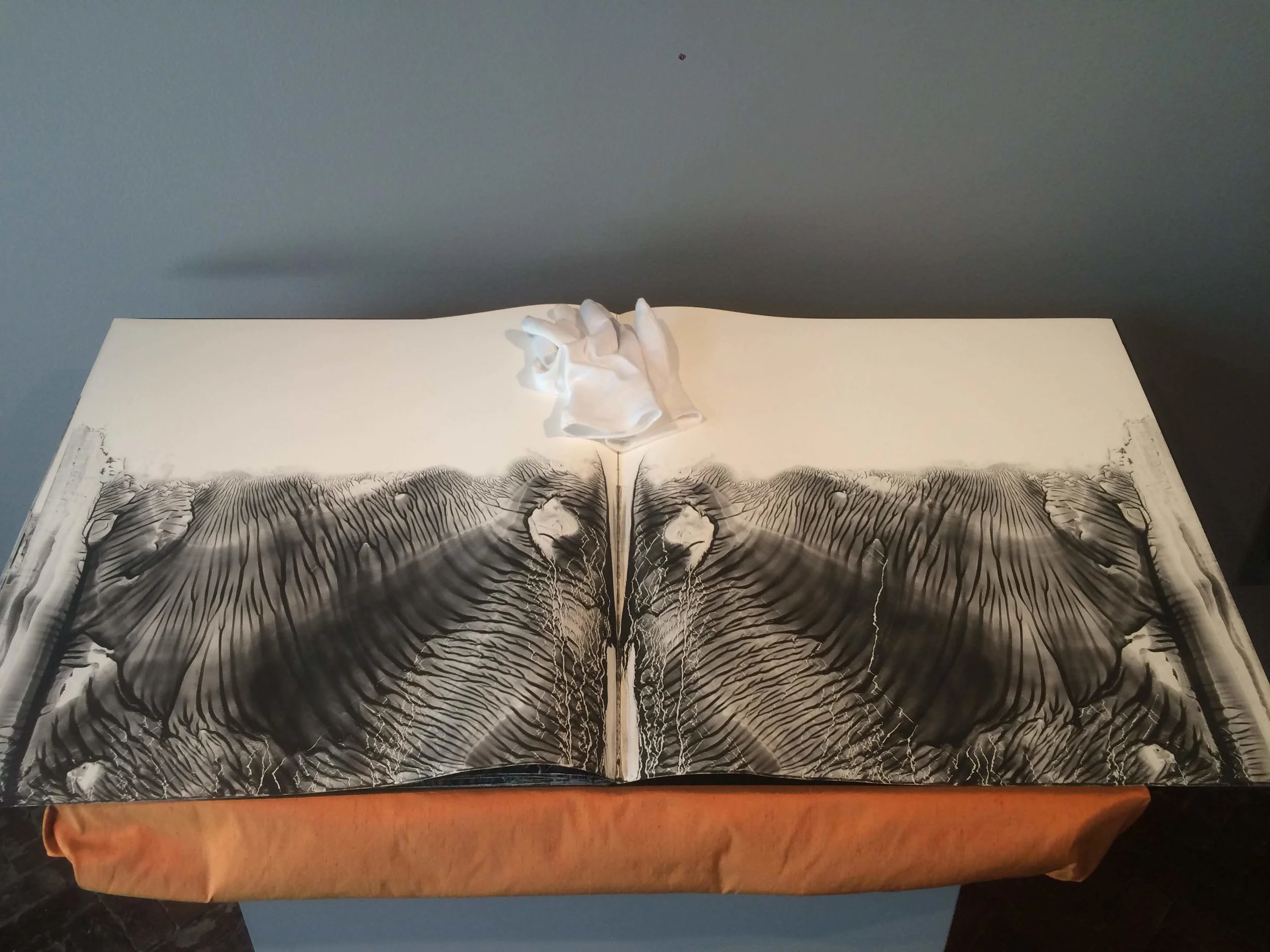 Sketchbook with museum gloves for viewing, Photo Credit: Arden Cone