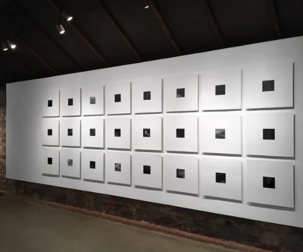 Wall of Seana Reilly's Nocturnes, Photo Credit: Whitespace