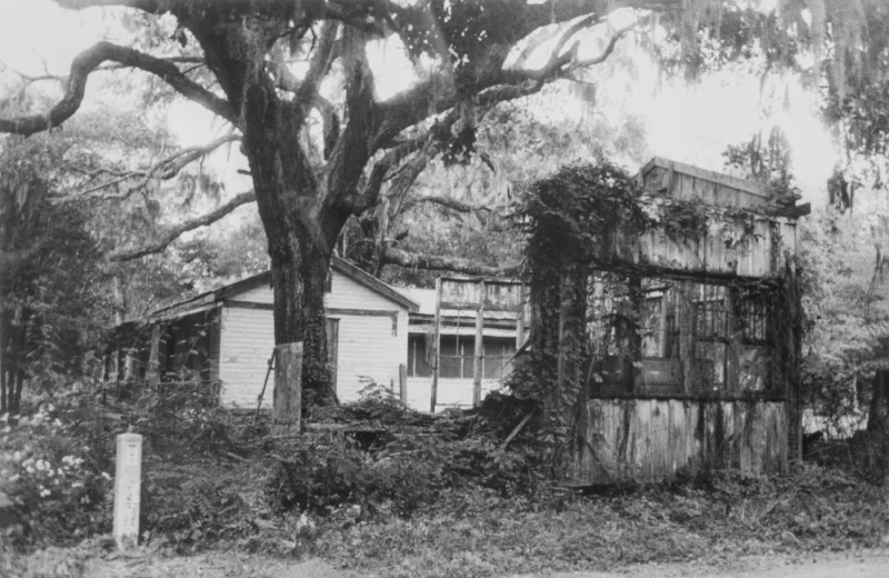 Jeanne Moutoussamy-Ashe, An Old Fallen House Next to a Tree ; Image courtesy of the Columbia Museum of Art