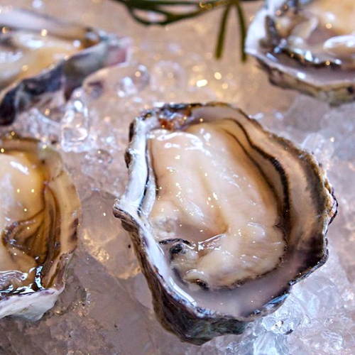 Organic Pacific oyster
