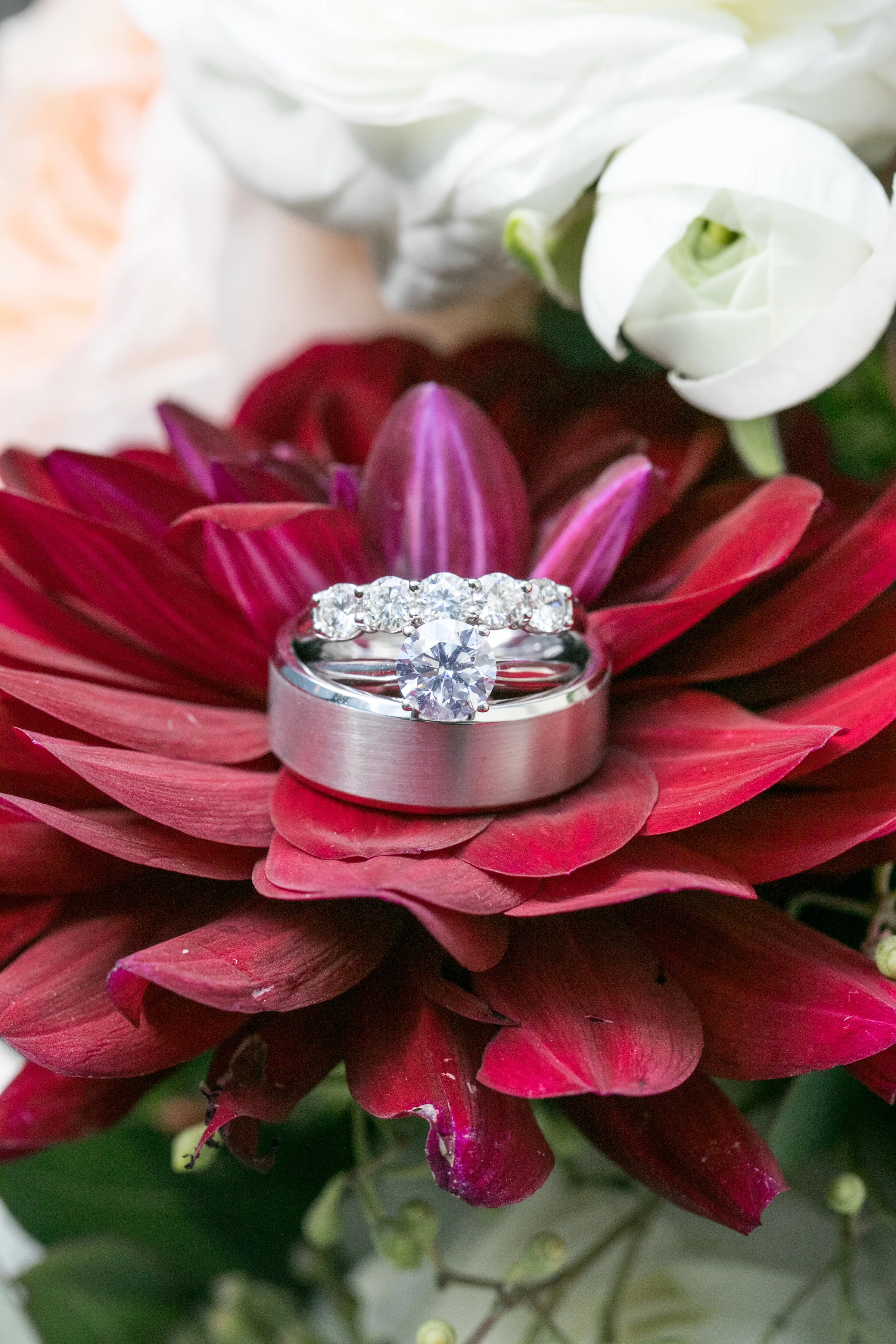 TingueWeddingLivingRadiantPhotographyhighlights-1.jpg