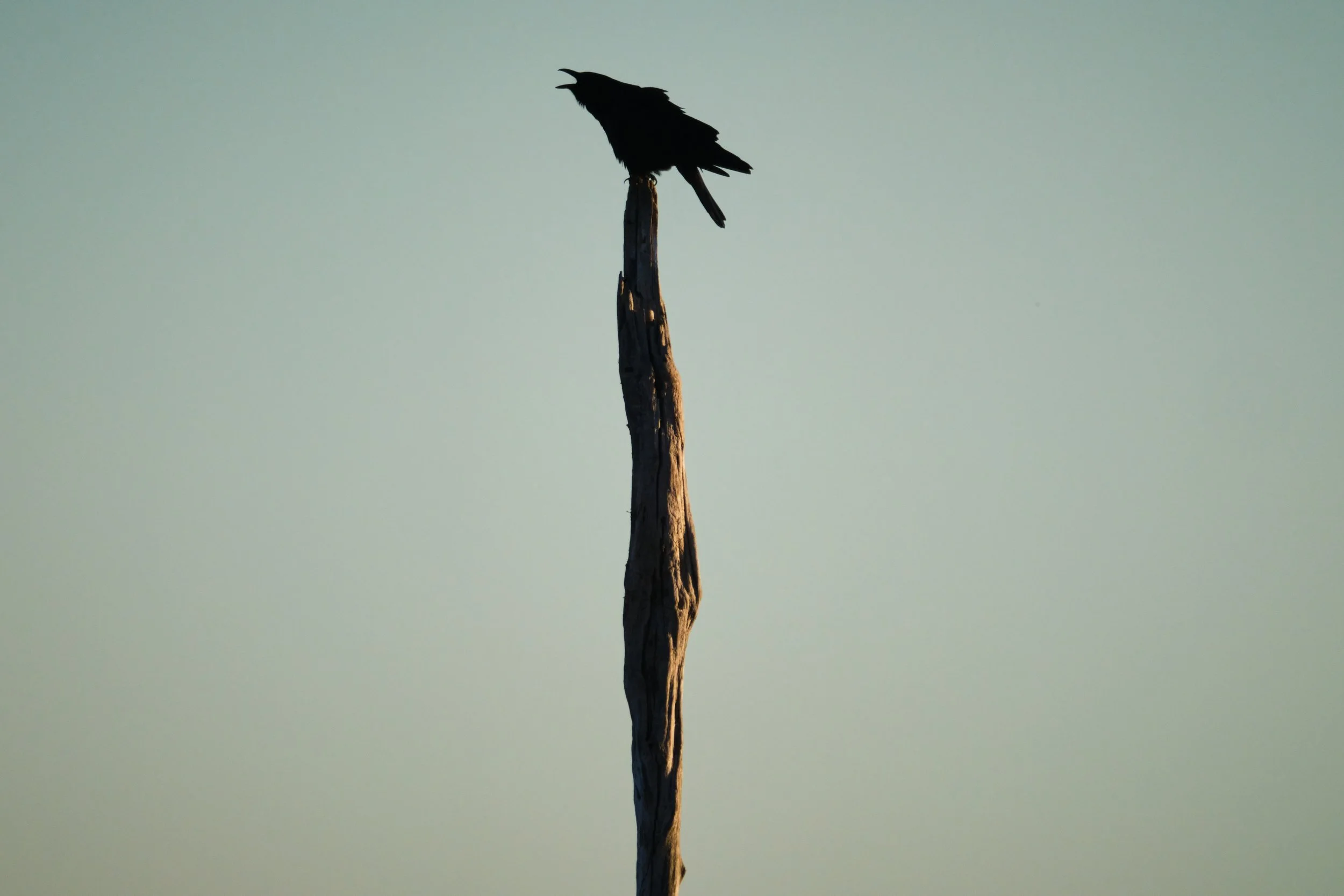 DSCF1109.jpg