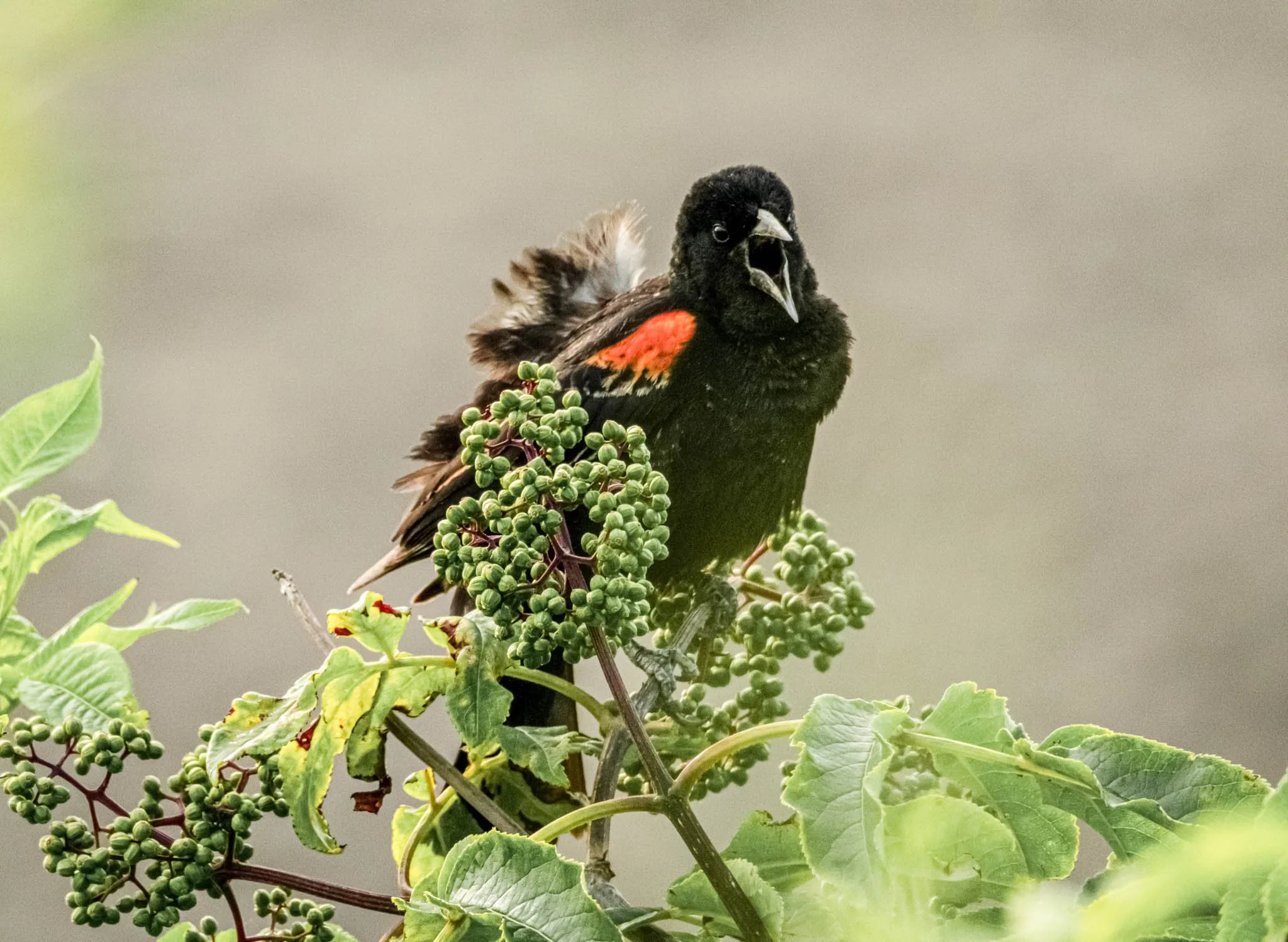 DSCF0124-3.jpg