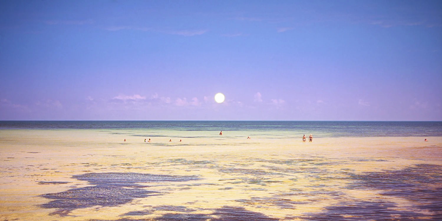 keywestmoon.jpg