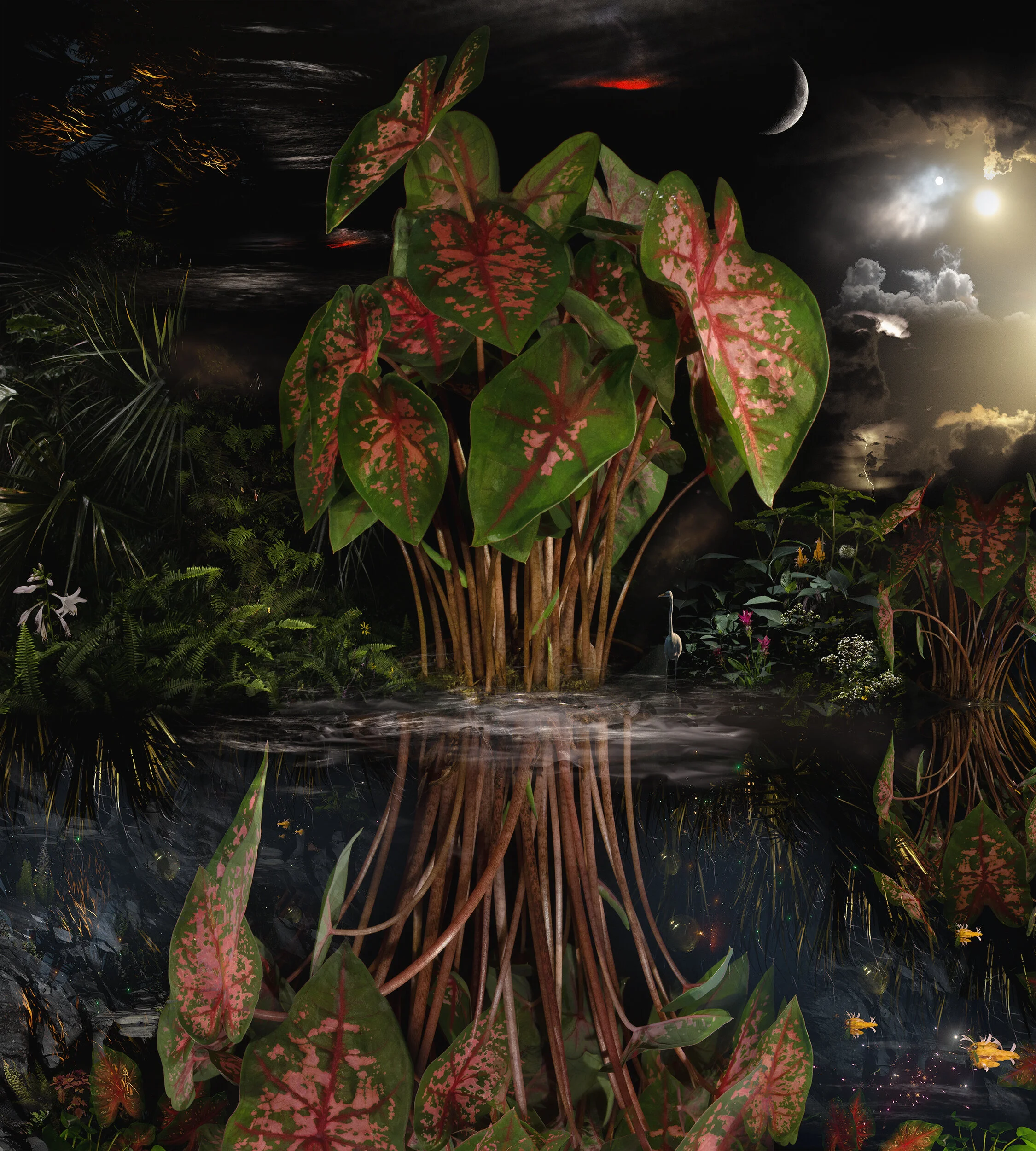 Beneath The Caladium Trees