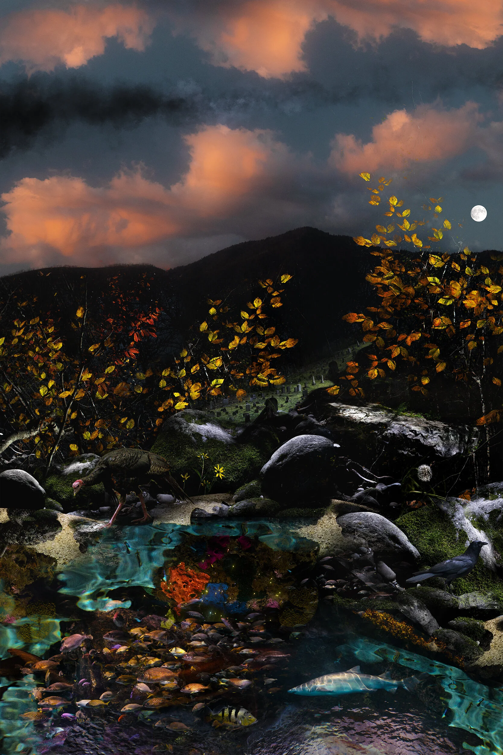 Biorhythms Of Autumn