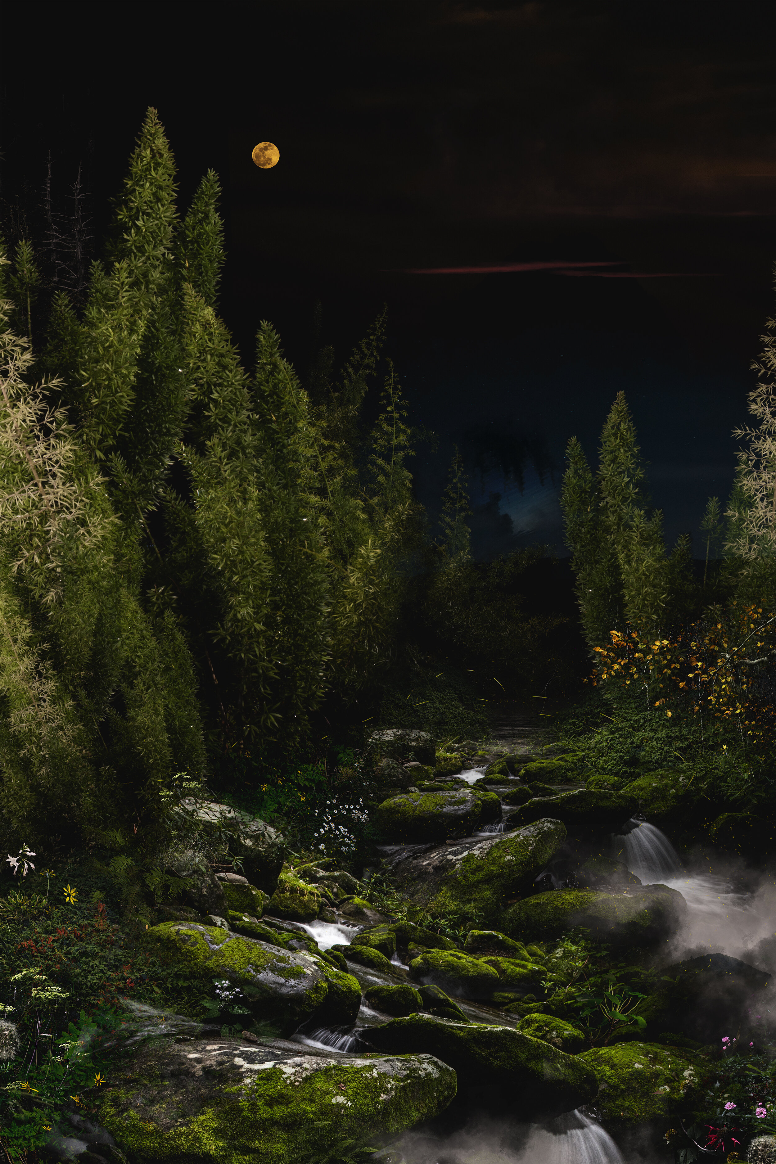 Lost In The Foxtail Forest, #1