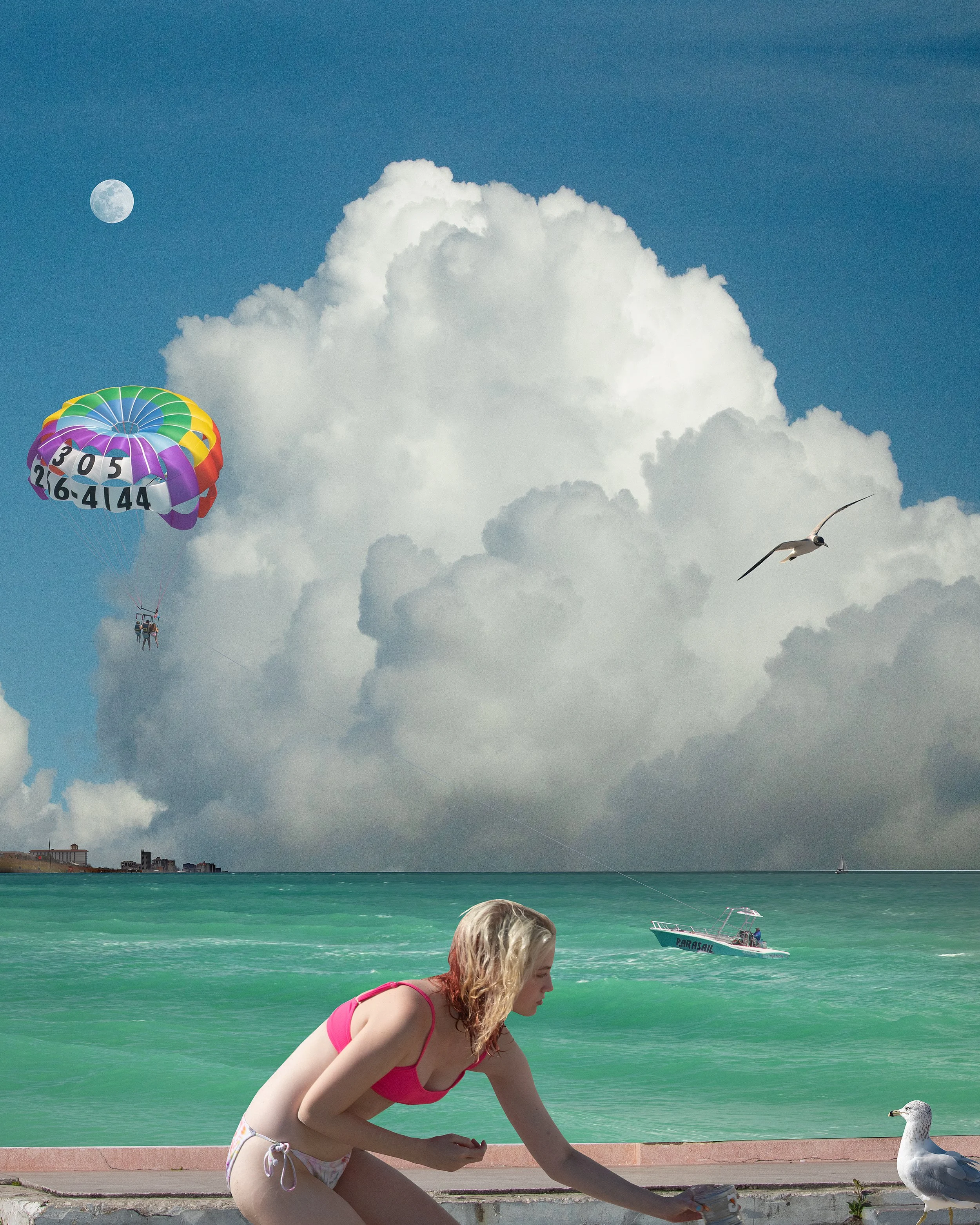 She Talks To The Gulls