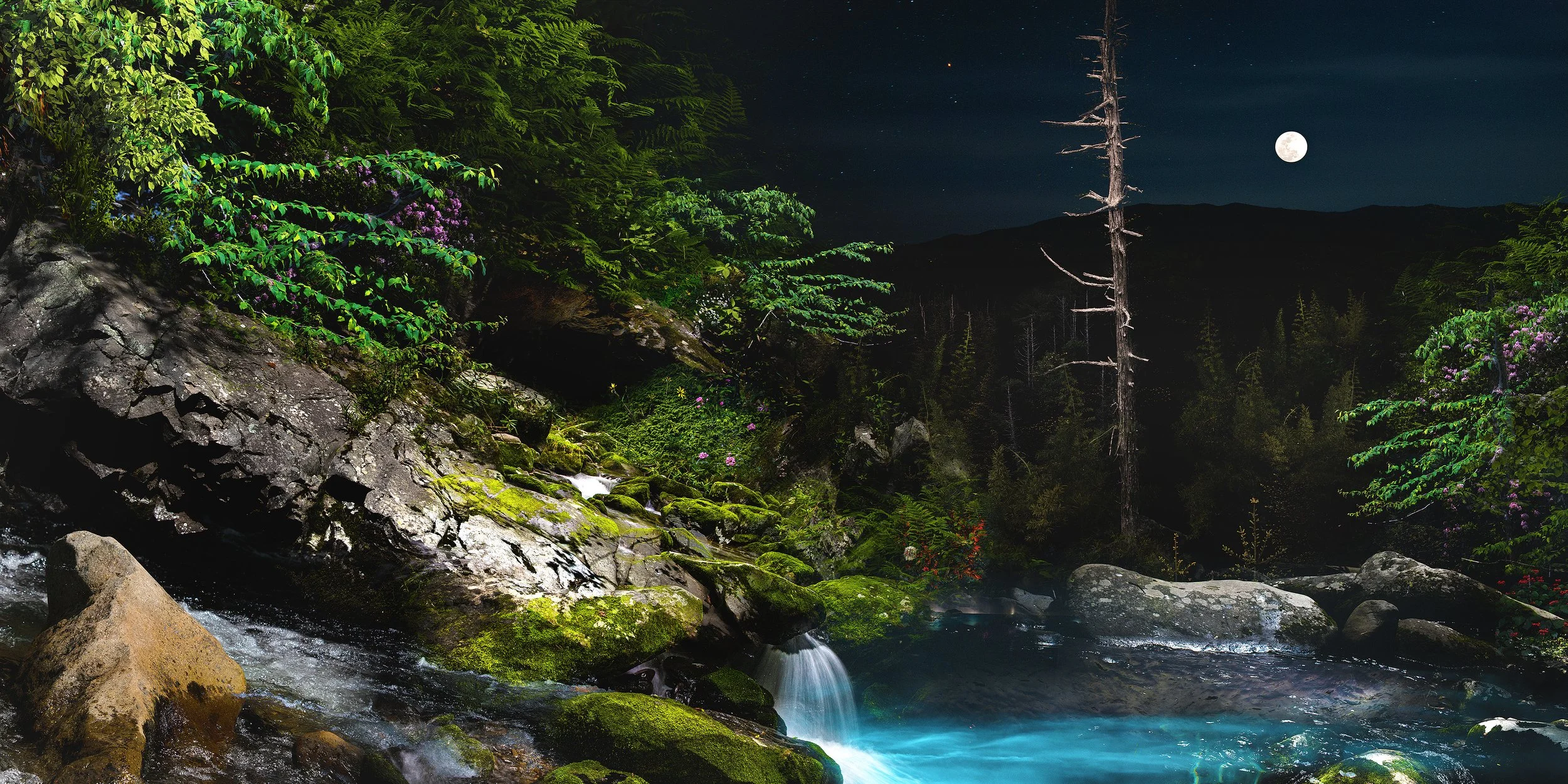 Midnight Secret Swim