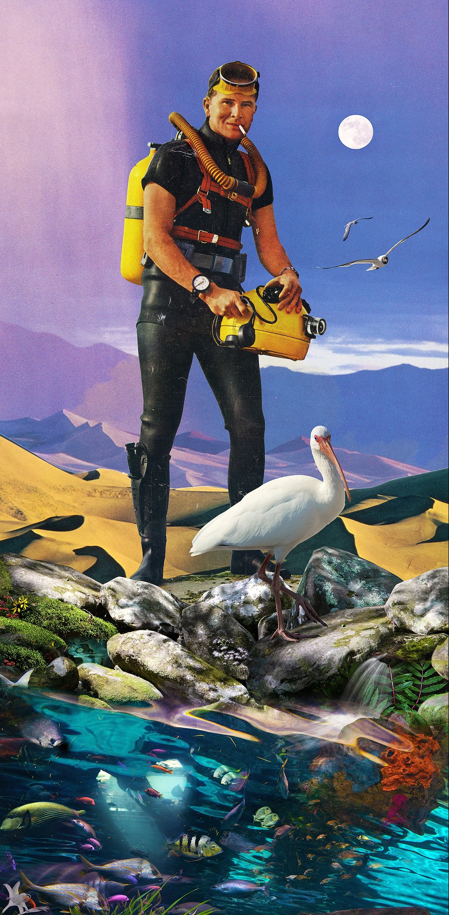 The Aquanaut