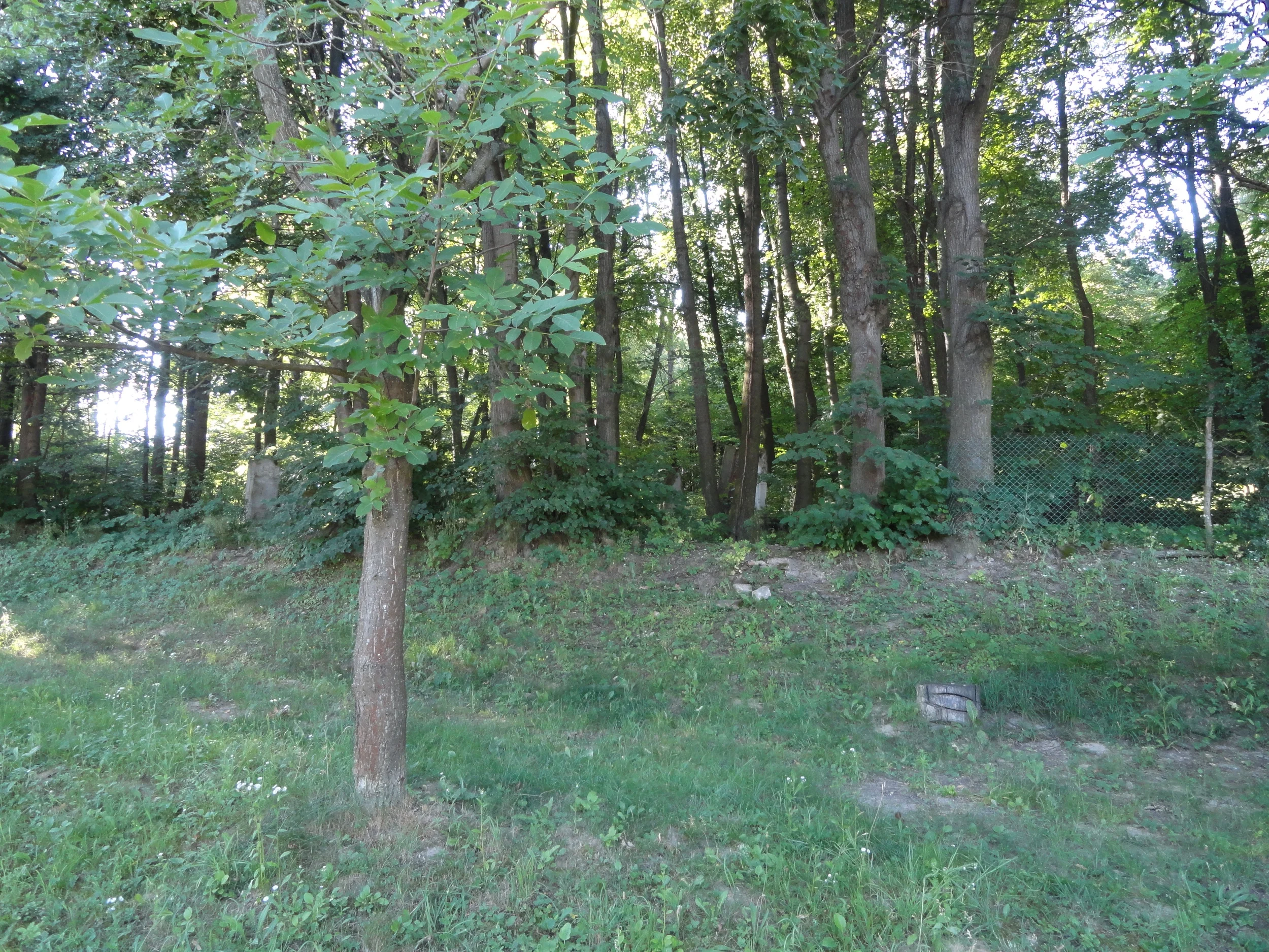 The forest is so thick that you can hardly see the cemetery for the trees.