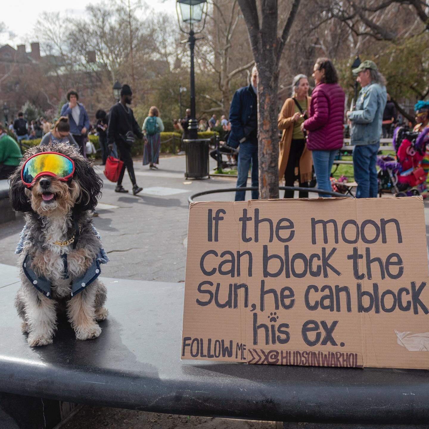 A Celestial celebration to witness the Great North American Solar Eclipse , which saw 90% of the sun 🌞 blocked by the moon here in New York. 
A special shout out to @hudsonwarhol ! 
&mdash;&mdash;&mdash;
#eclipse #streetphotography #nyc #dogsofinsta