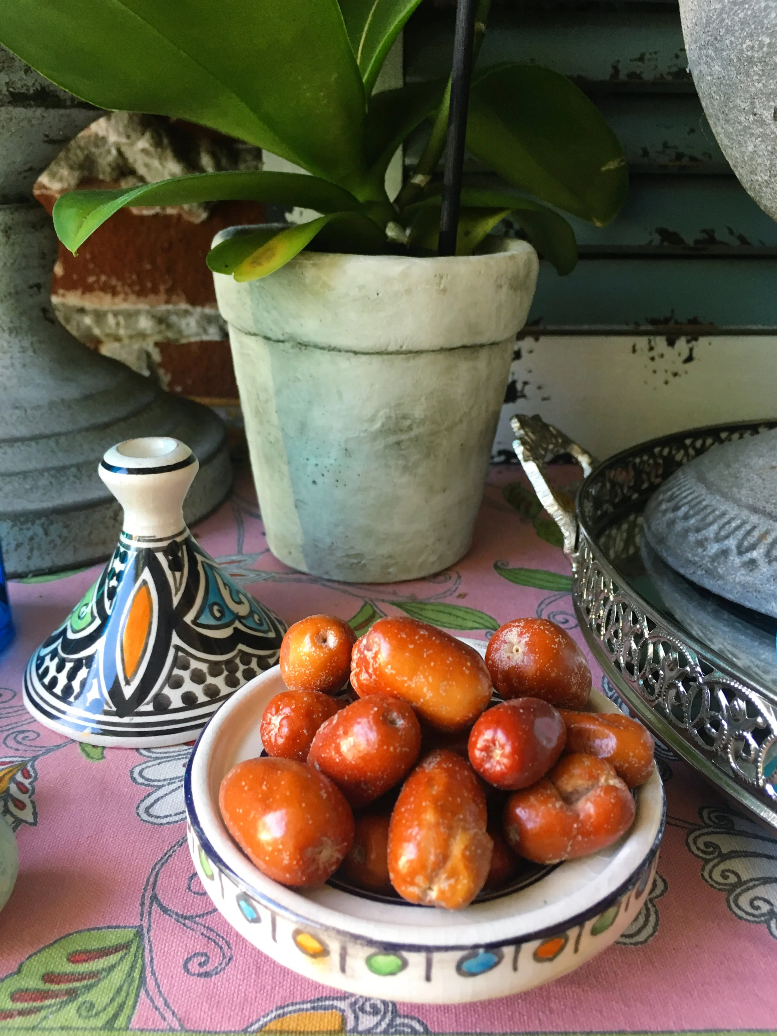 Senjed (سنجد)