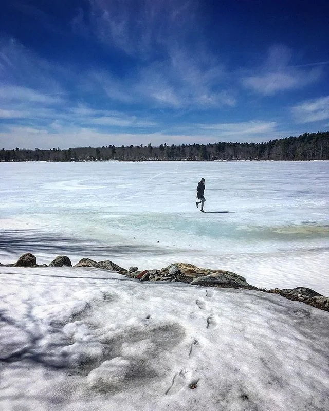 Downeast #maine #ice #tundra #newengland photo: @odyssey.studio