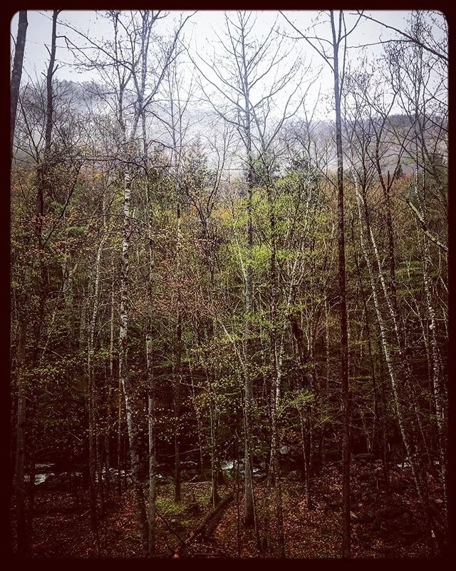 Pelham Brook-Charlemont, MA
