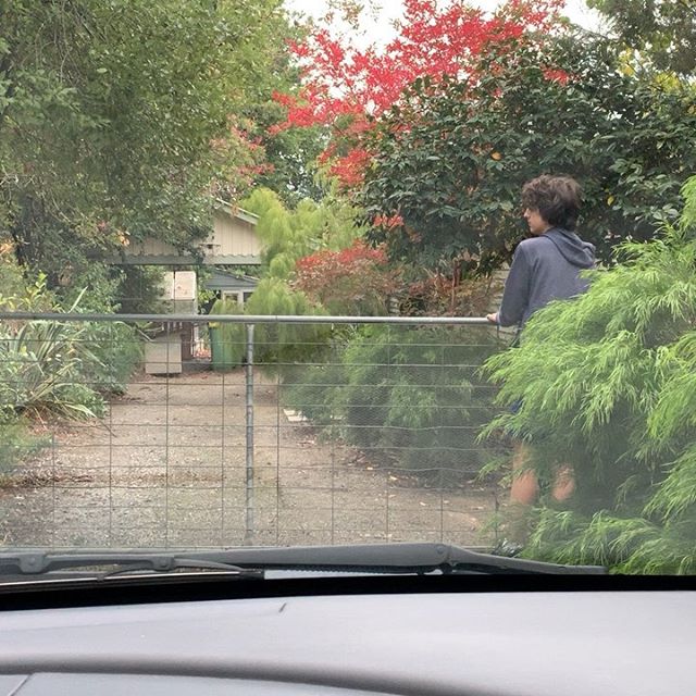 Small special moments this week: (1) Arriving home from Melbourne to find&nbsp;@russell.pepper had sneakily fixed our fence, chainsawed a wayward tree tree &amp; hung our gate (2 &amp; 3) Smashing pumpkins (4 &amp; 5) Tim &amp; @_amanda_lawrence_ &ls