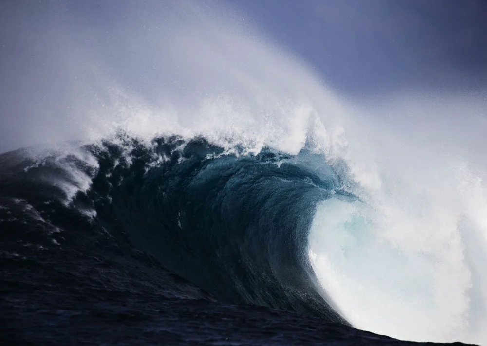 W3JawsThreeWEB.jpg