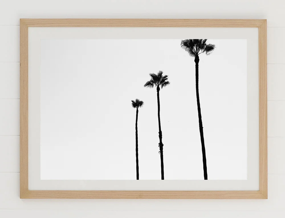 C32ThreePalmsFRAMEraw.jpg