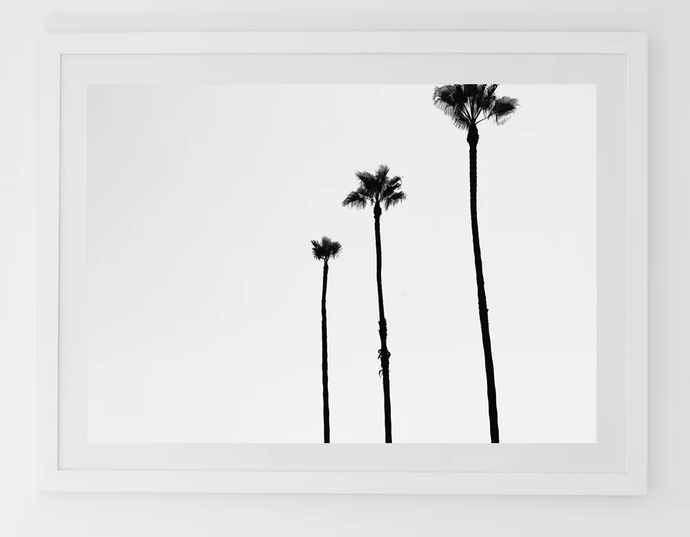 C32ThreePalmsFRAMEwhite.jpg
