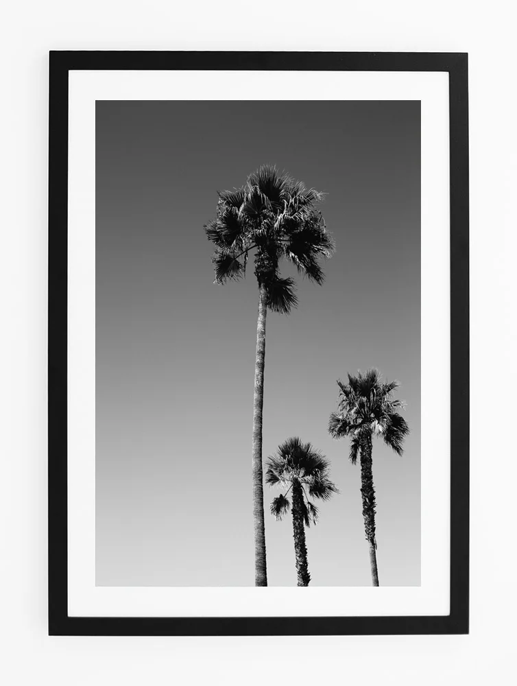 C33VeniceBeachPalmsFRAMEblack.jpg