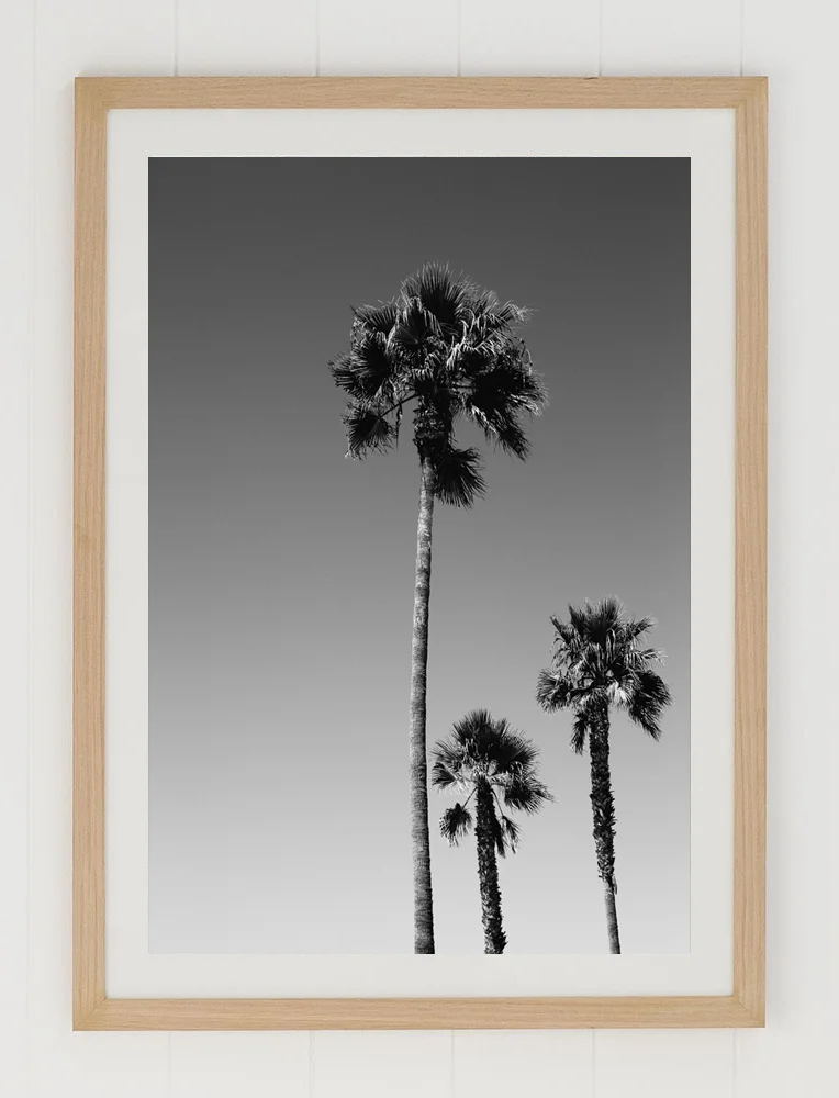 C33VeniceBeachPalmsFRAMEraw.jpg