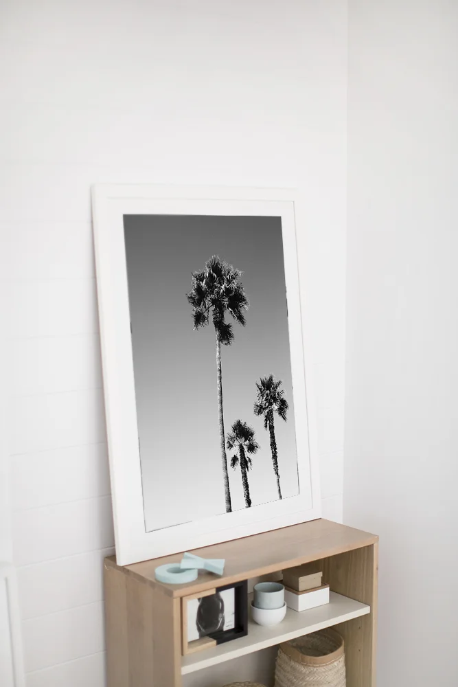 C33VeniceBeachPalmsLOC.jpg