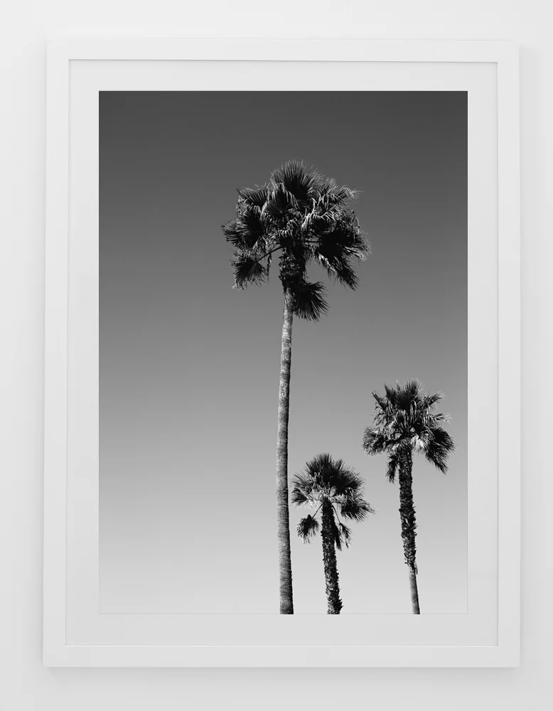 C33VeniceBeachPalmsFRAMEwhite.jpg