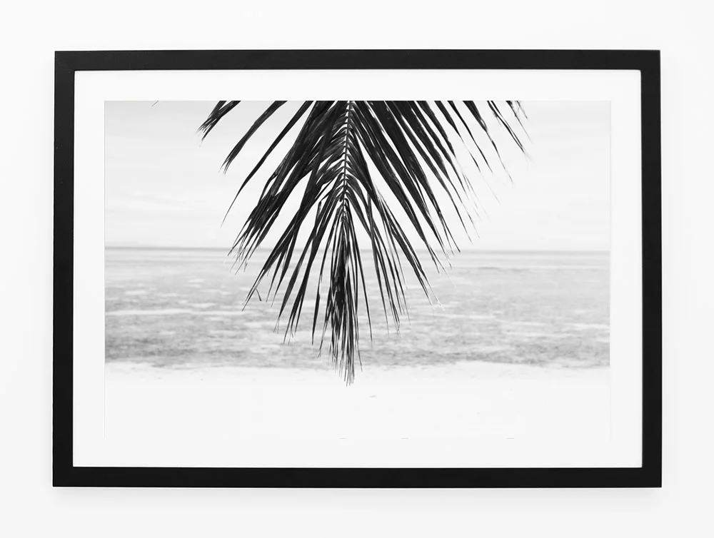 C34LonelyPalmFRAMEblack.jpg